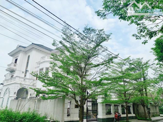 Bất động sản tại Thừa Thiên Huế - ảnh 1