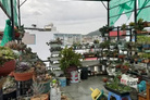 Bất động sản tại Bà Rịa - Vũng Tàu - ảnh 1