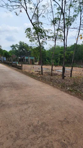 Bất động sản tại Bình Phước - ảnh 1