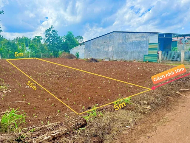 Bất động sản tại Đắk Lắk - ảnh 1