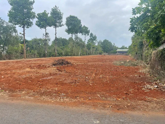 Bất động sản tại Đắk Lắk - ảnh 1