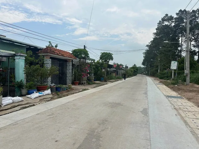 Bất động sản tại Bình Dương - ảnh 1