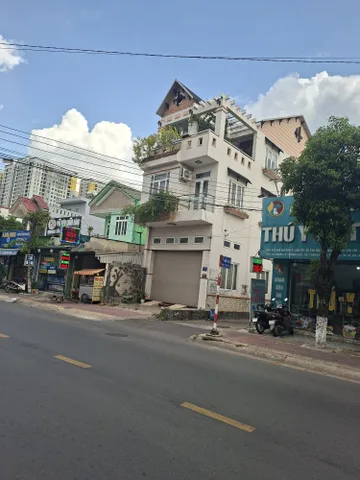 Bất động sản tại Bình Dương - ảnh 1