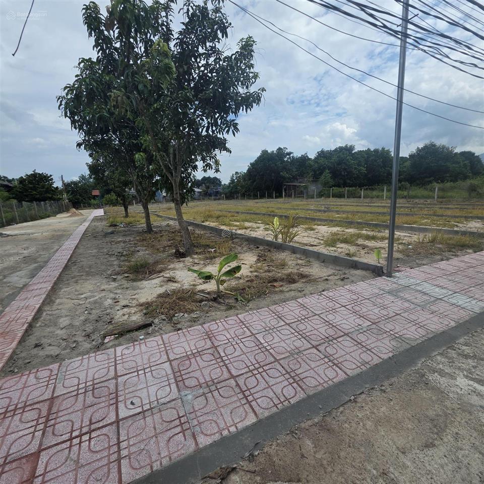 Bất động sản tại Khánh Hòa - ảnh 1