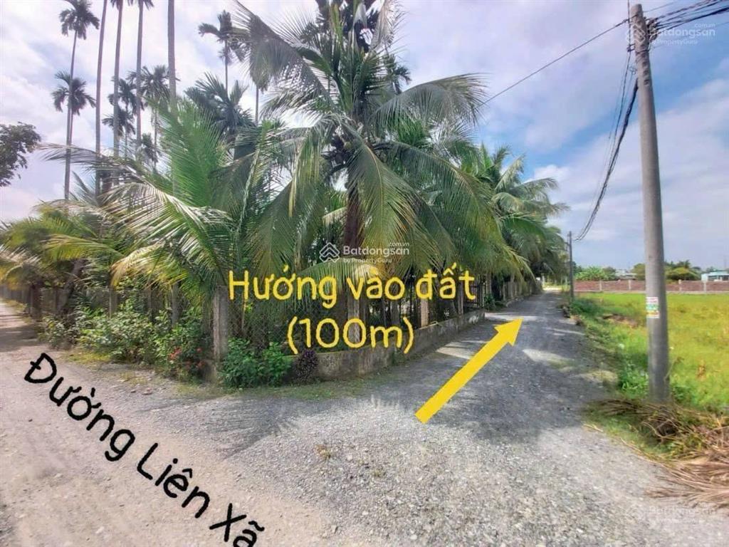 Bất động sản tại Long An - ảnh 1