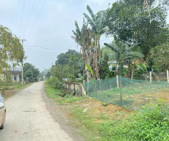 Bất động sản tại Phú Thọ - ảnh 1