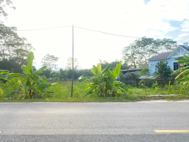 Bất động sản tại Phú Thọ - ảnh 1