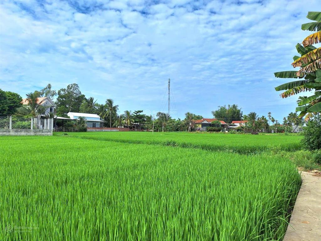 Bất động sản tại Quảng Ngãi - ảnh 1