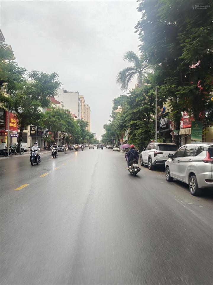 Bất động sản tại Hải Phòng - ảnh 1