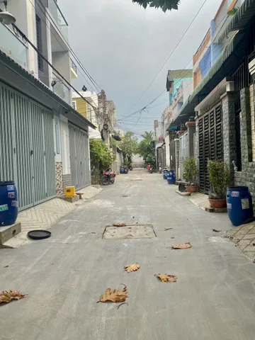 Bất động sản tại Bình Dương - ảnh 1