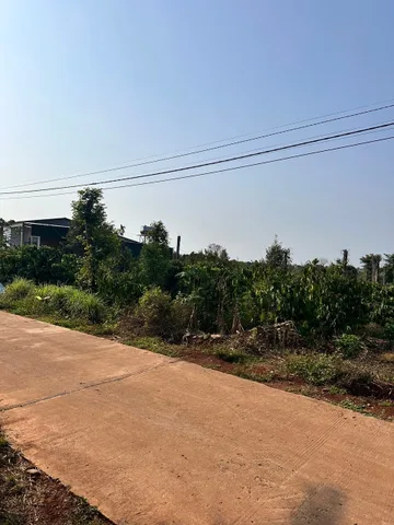 Bất động sản tại Đắk Lắk - ảnh 1