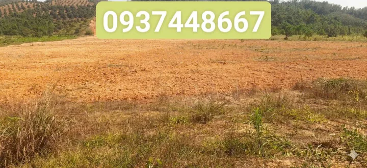 Bất động sản tại Lâm Đồng - ảnh 1