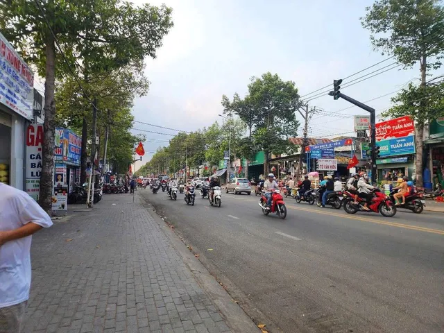 Bất động sản tại Bình Dương - ảnh 1