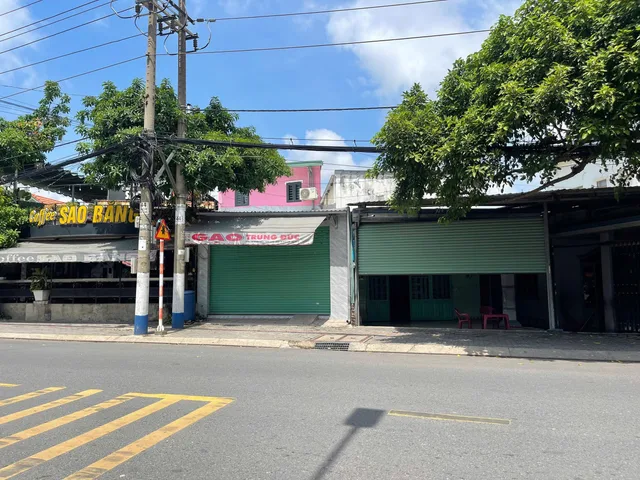 Bất động sản tại Bình Dương - ảnh 1