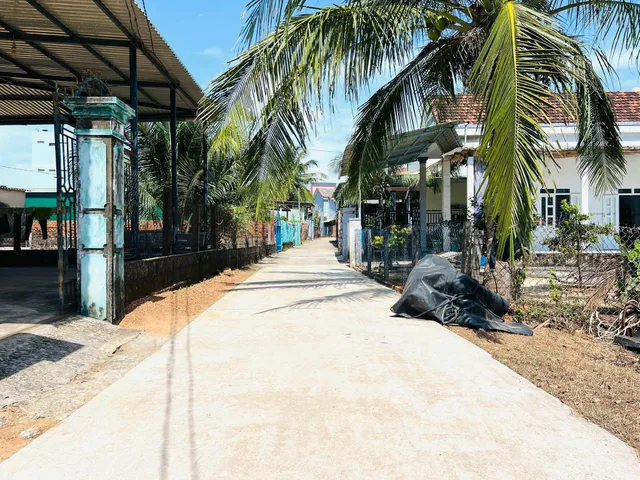 Bất động sản tại Bình Định - ảnh 1