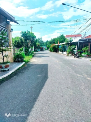 Bất động sản tại Bình Dương - ảnh 1