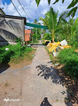 Bất động sản tại Bến Tre - ảnh 1