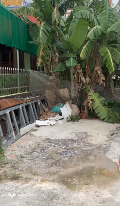Bất động sản tại Hải Phòng - ảnh 1