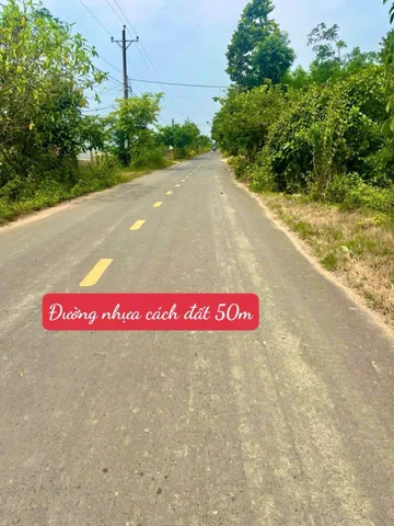 Bất động sản tại Lâm Đồng - ảnh 1