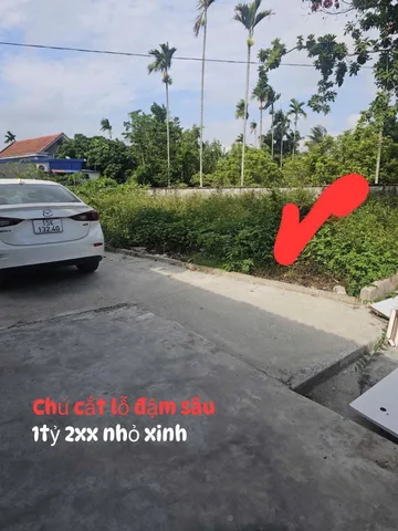 Bất động sản tại Hải Phòng - ảnh 1