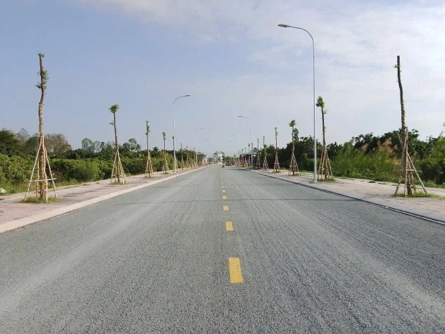 Bất động sản tại Đồng Tháp - ảnh 1