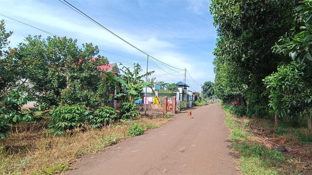Bất động sản tại Bà Rịa - Vũng Tàu - ảnh 1