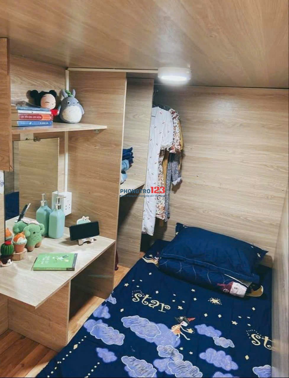 Bất động sản tại TP. Hồ Chí Minh - ảnh 1