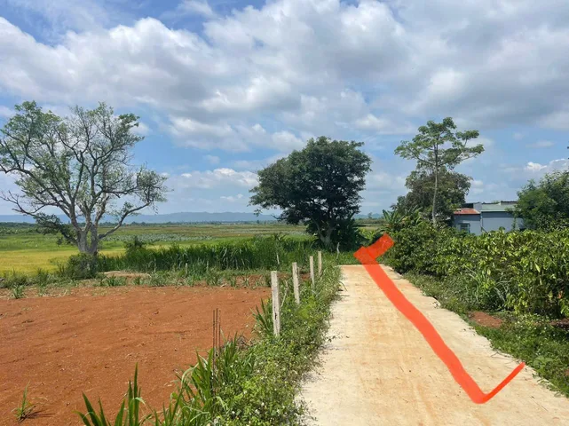 Bất động sản tại Đắk Lắk - ảnh 1