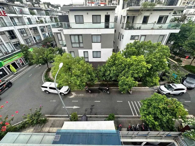 Bất động sản tại TP. Hồ Chí Minh - ảnh 1