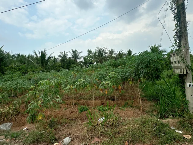 Bất động sản tại Vĩnh Long - ảnh 1