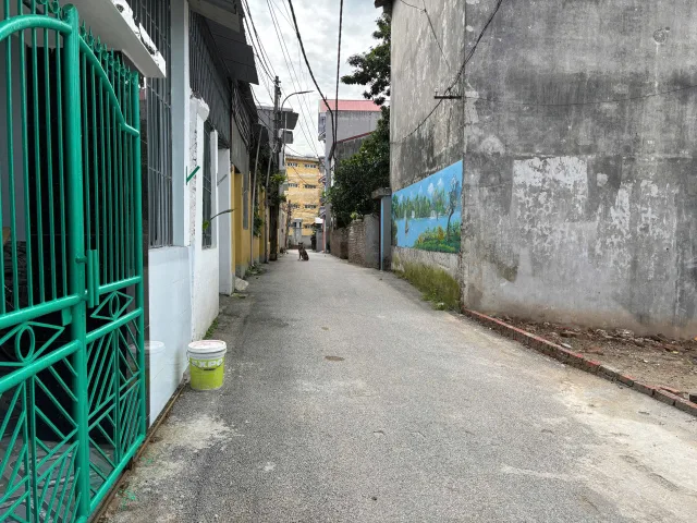 Bất động sản tại Phú Thọ - ảnh 1