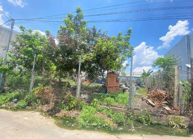 Bất động sản tại Bình Dương - ảnh 1