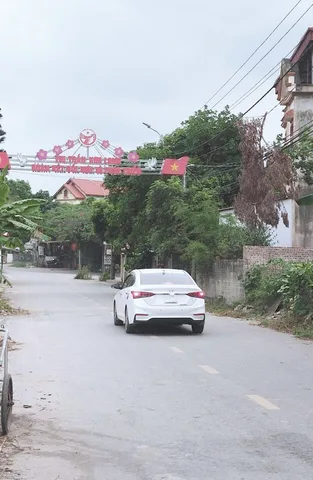 Bất động sản tại Phú Thọ - ảnh 1