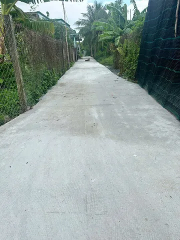 Bất động sản tại Long An - ảnh 1