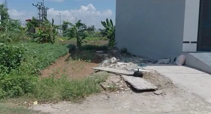 Bất động sản tại Hải Phòng - ảnh 1