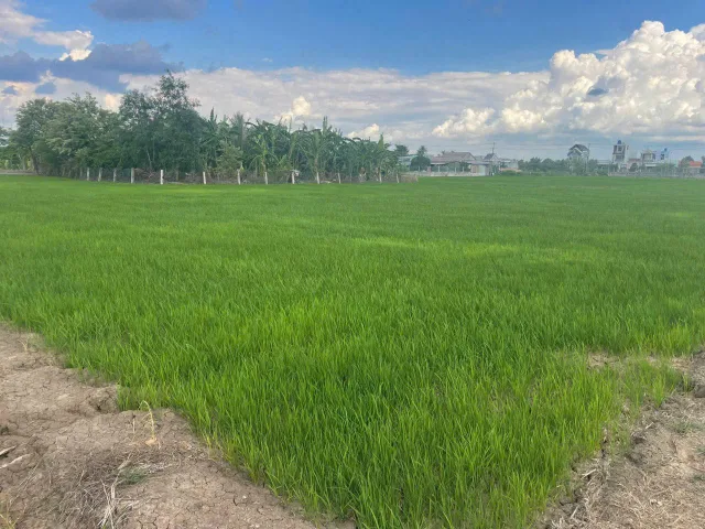 Bất động sản tại Long An - ảnh 1