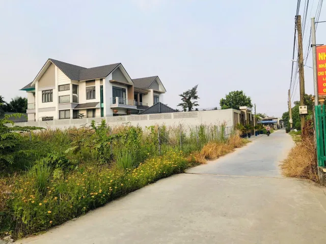 Bất động sản tại Bình Dương - ảnh 1