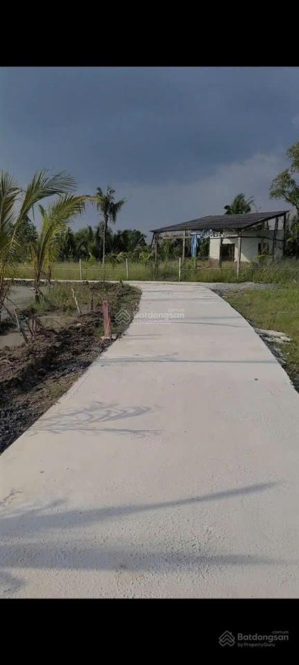 Bất động sản tại Long An - ảnh 1