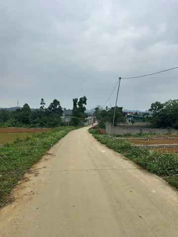 Bất động sản tại Phú Thọ - ảnh 1