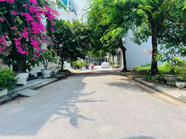 Bất động sản tại Hải Phòng - ảnh 1