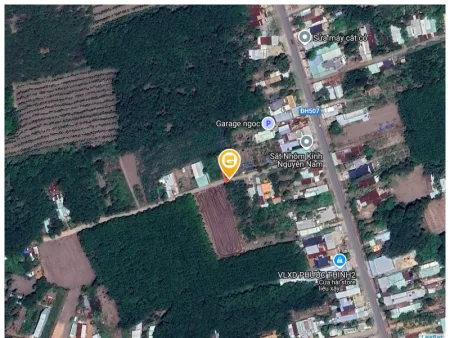 Bất động sản tại Bình Dương - ảnh 1
