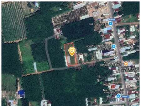 Bất động sản tại Bình Dương - ảnh 1