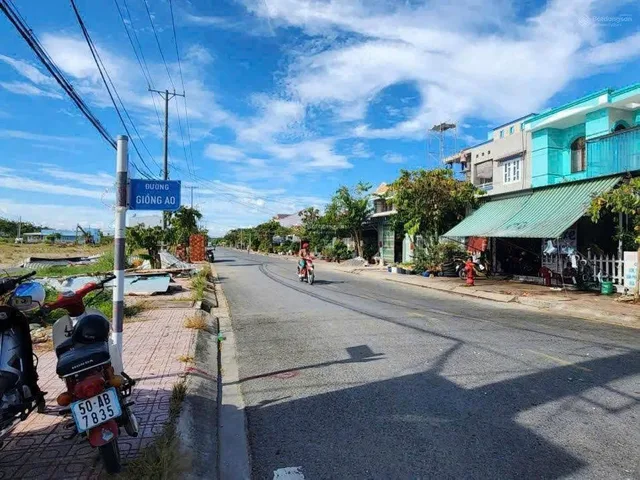 Bất động sản tại TP. Hồ Chí Minh - ảnh 1