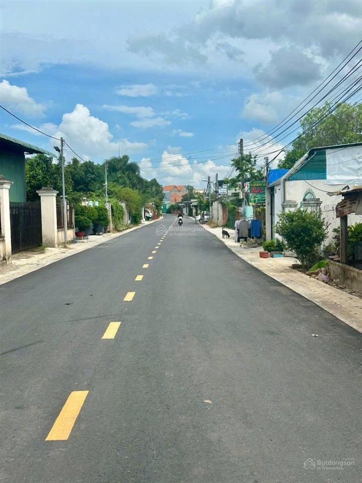 Bất động sản tại Bình Dương - ảnh 1