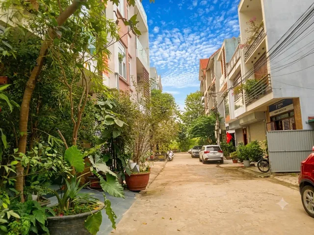 Bất động sản tại Phú Thọ - ảnh 1