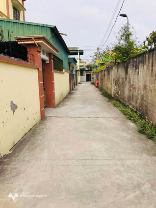 Bất động sản tại Thái Bình - ảnh 1