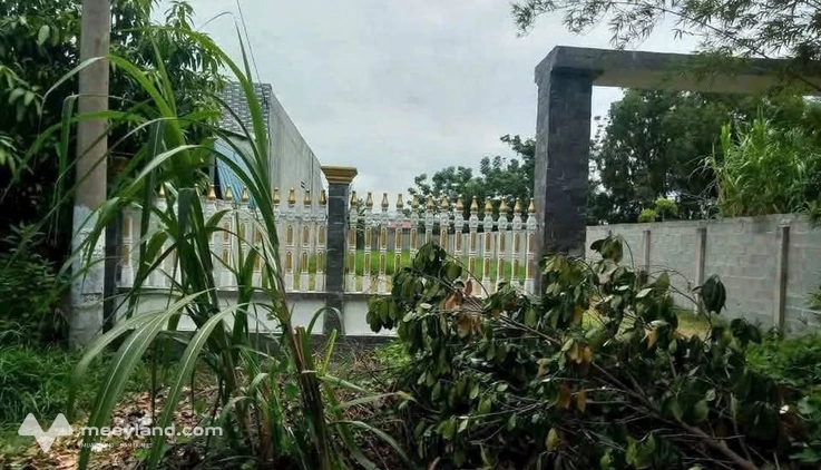 Bất động sản tại Long An - ảnh 1