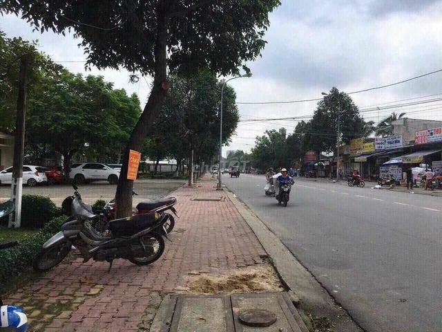 Bất động sản tại Bình Dương - ảnh 1