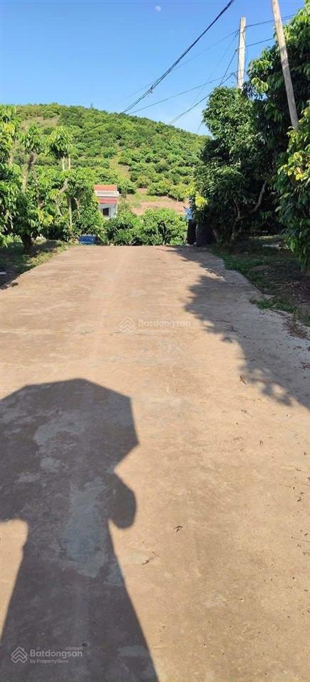 Bất động sản tại Bắc Giang - ảnh 1