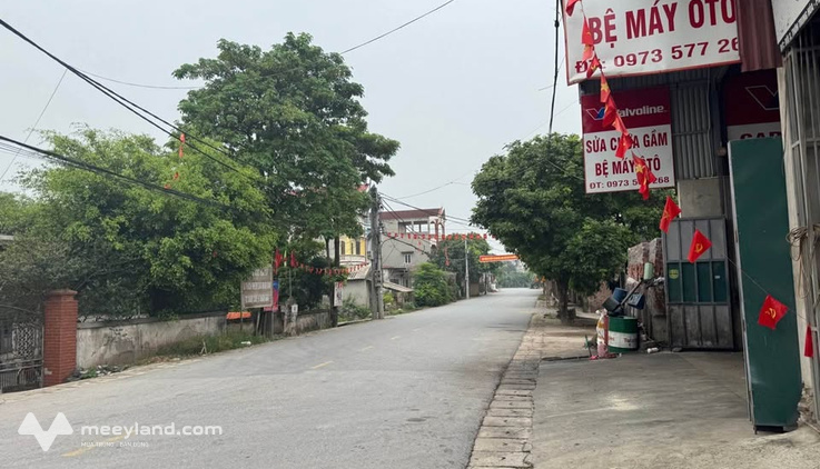 Bất động sản tại Hưng Yên - ảnh 1